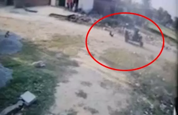 ई-रिक्शे में बांधकर घसीटा गया कुत्ता, युवक ने क्रूरता की हद पार की ई-रिक्शे में बांधकर घसीटा गया कुत्ता, युवक ने क्रूरता की हद पार की