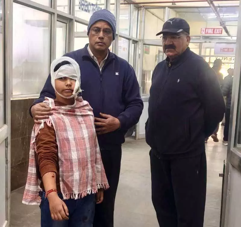 Gandhi Nagar में आवारा कुत्तों ने 9 साल के लड़के पर हमला किया Gandhi Nagar में आवारा कुत्तों ने 9 साल के लड़के पर हमला किया