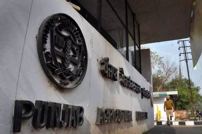 एग्री यूनिवर्सिटी के पूर्व छात्र, IIT प्रोफेसर ने जीनोमिक्स के भविष्य पर प्रकाश डाला एग्री यूनिवर्सिटी के पूर्व छात्र, IIT प्रोफेसर ने जीनोमिक्स के भविष्य पर प्रकाश डाला