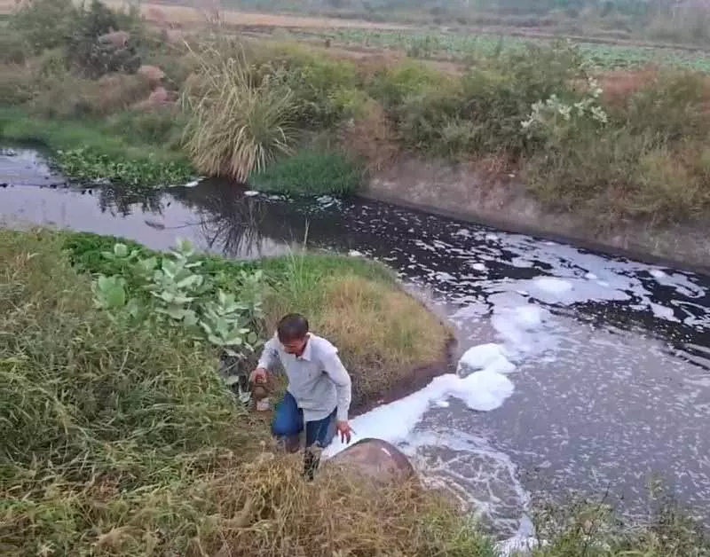 बरही में एफ्लुएंट सैंपल टेस्ट में फेल हुए, पॉल्यूशन बोर्ड ने HSIIDC को कारण बताओ नोटिस जारी किया बरही में एफ्लुएंट सैंपल टेस्ट में फेल हुए, पॉल्यूशन बोर्ड ने HSIIDC को कारण बताओ नोटिस जारी किया