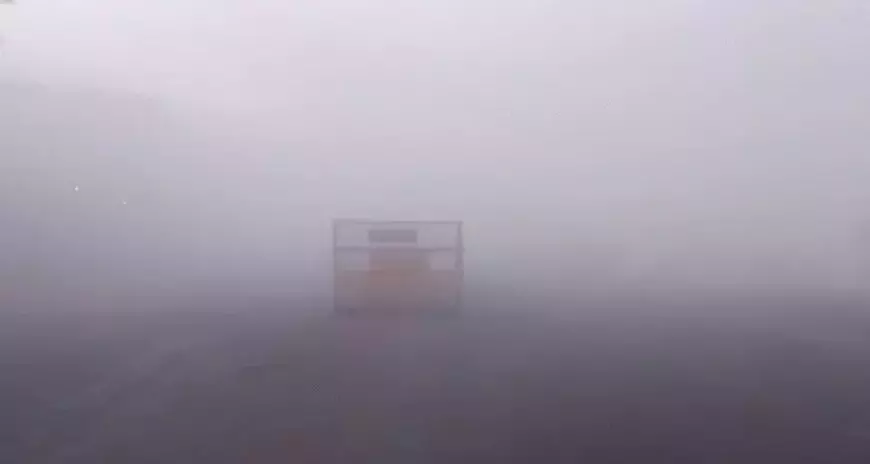 Bhopal: मुरैना-रायसेन में घना कोहरा, विजिबिलिटी 50 मीटर Bhopal: मुरैना-रायसेन में घना कोहरा, विजिबिलिटी 50 मीटर