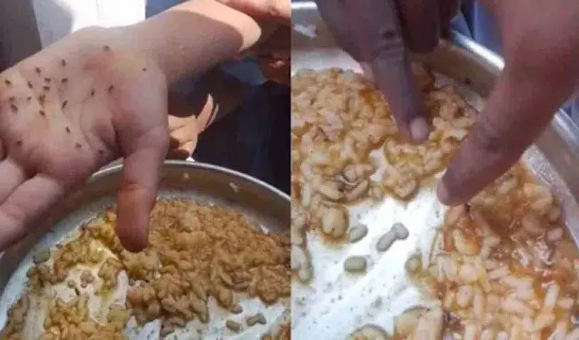 Karnataka के कोप्पल में मिड डे मील में कीड़े लगे चावल मिले Karnataka के कोप्पल में मिड डे मील में कीड़े लगे चावल मिले
