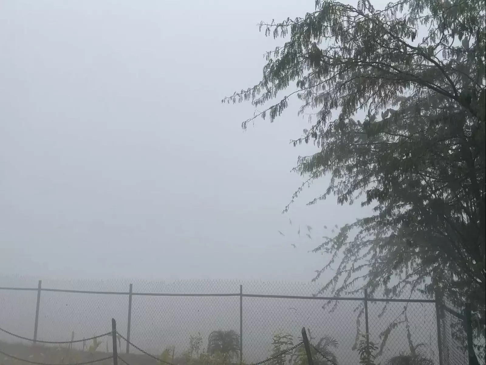 उत्तर प्रदेश में कोहरे से Taj Mahal भी अदृश्य उत्तर प्रदेश में कोहरे से Taj Mahal भी अदृश्य