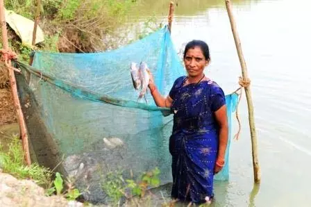 मछली पालन से समृद्ध की राह पर फुलबती मरकाम मछली पालन से समृद्ध की राह पर फुलबती मरकाम