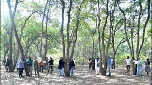 Nashik civic निकाय ने विरोध को शांत करने के लिए पौधारोपण अभियान शुरू किया
