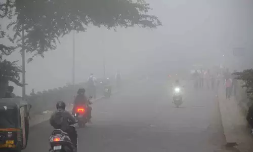 MP : 22 जिलों में घना कोहरा छाया, रीवा-सतना में विजिबिलिटी 50 मीटर से कम हुई