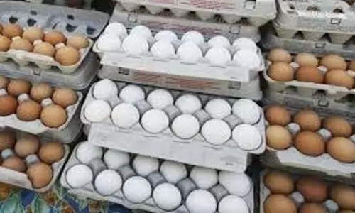 Karnataka:अंडों की गुणवत्ता पर सरकार सख्त, एंटीबायोटिक इस्तेमाल की जांच शुरू