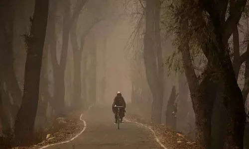 कोहरे और बादलों के कारण Kashmir में रात का तापमान फ्रीजिंग पॉइंट से ऊपर कोहरे और बादलों के कारण Kashmir में रात का तापमान फ्रीजिंग पॉइंट से ऊपर