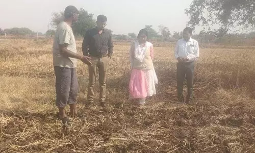 बैंकिंग से खेतों तक : जल संकट में फसल विविधीकरण की नई राह दिखा रहे विवेक धर दीवान