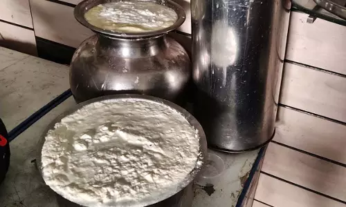 साक्षी डेयरी से पनीर का लिया गया सैंपल साक्षी डेयरी से पनीर का लिया गया सैंपल