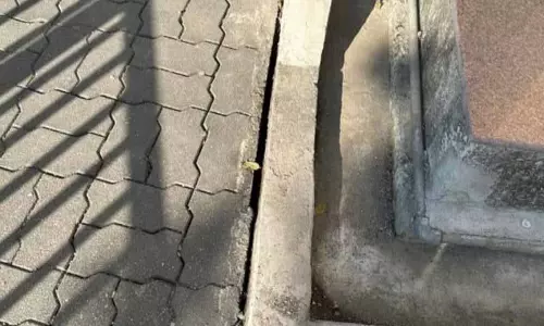 Himachal: अस्थिर ढलान और ढीली मिट्टी पर बने कांगड़ा म्यूजियम को गंभीर खतरा है Himachal: अस्थिर ढलान और ढीली मिट्टी पर बने कांगड़ा म्यूजियम को गंभीर खतरा है