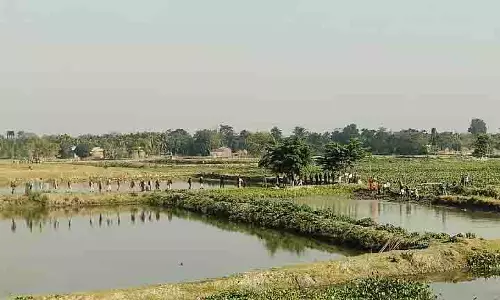 प्राकृतिक जलमार्गों को बचाने के लिए Nagaon में बड़ी पहल प्राकृतिक जलमार्गों को बचाने के लिए Nagaon में बड़ी पहल