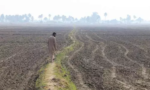 Iraq में ऐतिहासिक सूखे के बीच गेहूं उत्पादन घटने का खतरा Iraq में ऐतिहासिक सूखे के बीच गेहूं उत्पादन घटने का खतरा