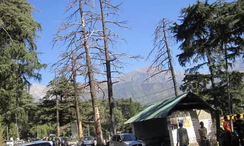 Sangla Valley में देवदार जलवायु परिवर्तन के बारे में जानकारी देते हैं Sangla Valley में देवदार जलवायु परिवर्तन के बारे में जानकारी देते हैं