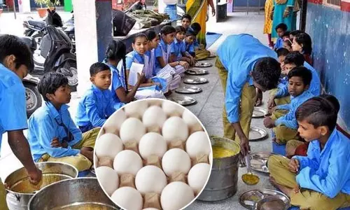 धरणी में नकली अंडे की सप्लाई के 90 लाख रुपये के पेमेंट मामले में FIR पेंडिंग धरणी में नकली अंडे की सप्लाई के 90 लाख रुपये के पेमेंट मामले में FIR पेंडिंग