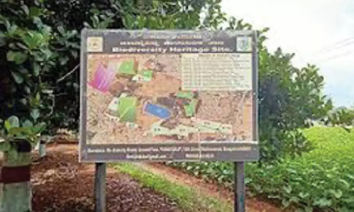 Karnataka: संरक्षण और अनुसंधान को बढ़ावा देने के लिए वन विज्ञान केंद्र लॉन्च किया गया Karnataka: संरक्षण और अनुसंधान को बढ़ावा देने के लिए वन विज्ञान केंद्र लॉन्च किया गया
