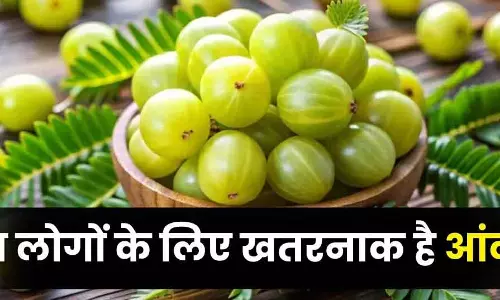 Winter में आंवला खा रहे हैं? इन 8 लोगों के लिए हो सकता है नुकसान Winter में आंवला खा रहे हैं? इन 8 लोगों के लिए हो सकता है नुकसान