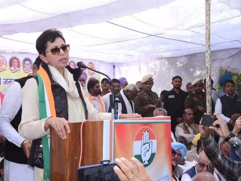 Sirsa धान अनियमितताएं: सेल्जा ने बीजेपी सरकार पर उठाए सवाल Sirsa धान अनियमितताएं: सेल्जा ने बीजेपी सरकार पर उठाए सवाल