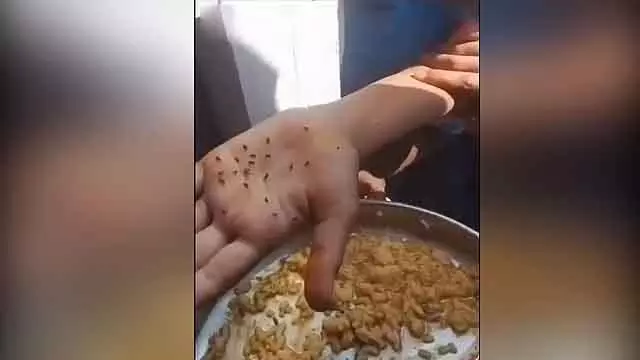 कुपवाड़ा में लैंडमाइन विस्फोट; एक जवान शहीद कुपवाड़ा में लैंडमाइन विस्फोट; एक जवान शहीद
