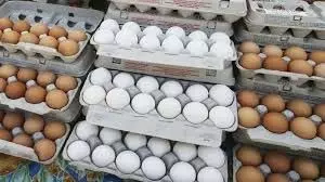 Karnataka:अंडों की गुणवत्ता पर सरकार सख्त, एंटीबायोटिक इस्तेमाल की जांच शुरू Karnataka:अंडों की गुणवत्ता पर सरकार सख्त, एंटीबायोटिक इस्तेमाल की जांच शुरू