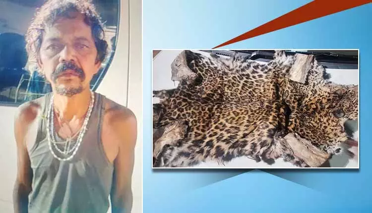 Bhubaneswar: बौध में तेंदुए की खाल जब्त, शिकारी गिरफ्तार Bhubaneswar: बौध में तेंदुए की खाल जब्त, शिकारी गिरफ्तार