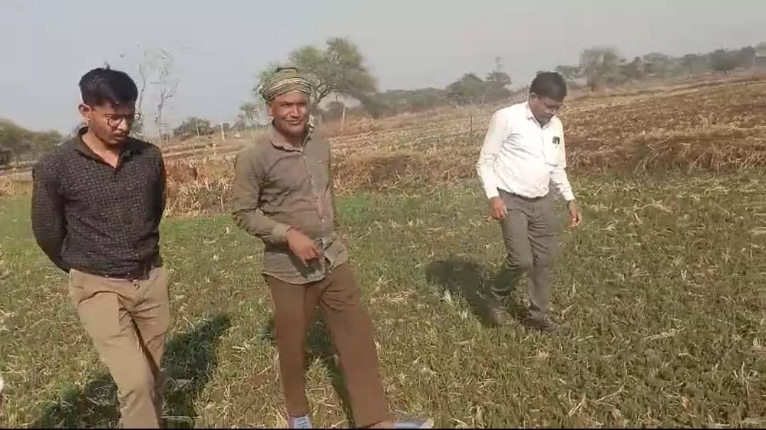 धान से हटकर समृद्धि की राह : किसान ने दलहन-तिलहन से कमाए 25 लाख रुपये धान से हटकर समृद्धि की राह : किसान ने दलहन-तिलहन से कमाए 25 लाख रुपये
