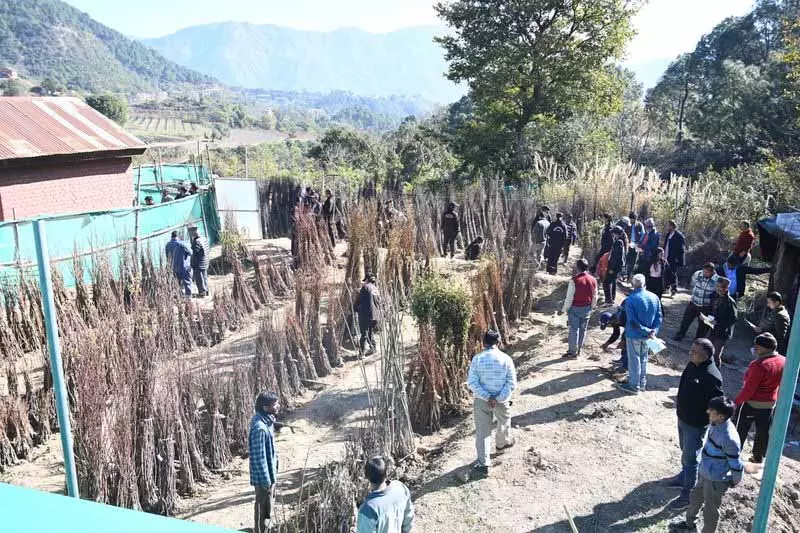 Nauni University की सालाना सेल के पहले दिन 19,800 से ज़्यादा पौधे बिके Nauni University की सालाना सेल के पहले दिन 19,800 से ज़्यादा पौधे बिके