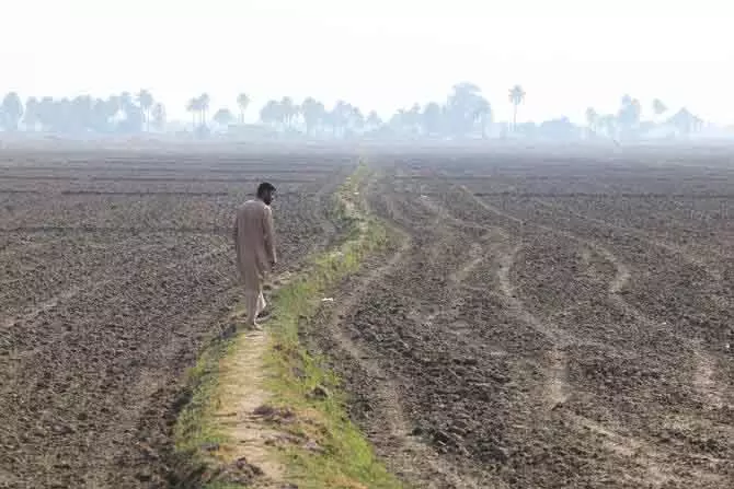 Iraq में ऐतिहासिक सूखे के बीच गेहूं उत्पादन घटने का खतरा Iraq में ऐतिहासिक सूखे के बीच गेहूं उत्पादन घटने का खतरा