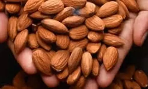 Almond benefits:छिलके समेत बादाम खाना,जानें तरीका और फायदे