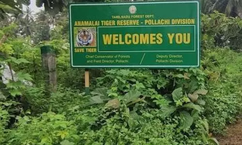 वालपराई में मानव-वन्यजीव संघर्ष रोकने के लिए तमिलनाडु वन विभाग की बड़ी पहल वालपराई में मानव-वन्यजीव संघर्ष रोकने के लिए तमिलनाडु वन विभाग की बड़ी पहल