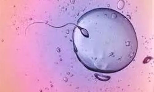 Science: चीनी वैज्ञानिकों ने ढूंढ निकाला स्पर्म बढ़ाने वाला पहला इलाज Science: चीनी वैज्ञानिकों ने ढूंढ निकाला स्पर्म बढ़ाने वाला पहला इलाज