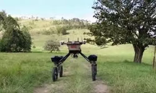 Digital Robot: अब रोबोट चराएगा गाय-भैंस, इंसानों की खेतों से भी होगी छुट्टी