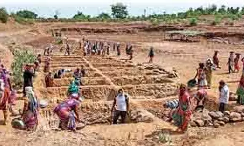 Tamil Nadu मंत्री ने ग्रामीण रोजगार योजना रोकने के लिए केंद्र को जिम्मेदार ठहराया