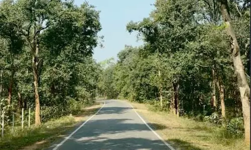 पीएम जनमन योजना से बदली ग्राम बांसकुड़ा कमार बस्ती की तस्वीर पीएम जनमन योजना से बदली ग्राम बांसकुड़ा कमार बस्ती की तस्वीर
