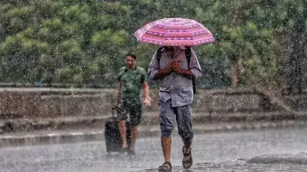 kerala: गरज और बिजली के साथ बारिश होने की संभावना; विशेष अलर्ट जारी किया kerala: गरज और बिजली के साथ बारिश होने की संभावना; विशेष अलर्ट जारी किया