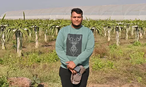परंपरागत खेती छोड़कर ड्रेगन फ्रूट की राह किसान