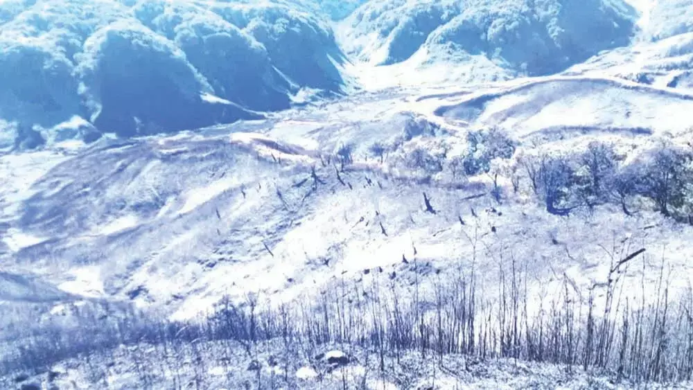 Nagaland : पश्चिमी ज़ुकोऊ में आग बुझाने का अभियान आधिकारिक तौर पर खत्म कर दिया
