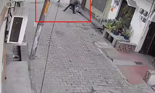 BREAKING: सांड से पंगा पड़ा भारी, पत्थर मारने पर भड़का सांड, बाबा को उठाकर पटका BREAKING: सांड से पंगा पड़ा भारी, पत्थर मारने पर भड़का सांड, बाबा को उठाकर पटका
