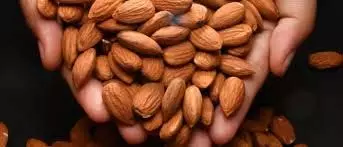 Almond benefits:छिलके समेत बादाम खाना,जानें तरीका और फायदे Almond benefits:छिलके समेत बादाम खाना,जानें तरीका और फायदे