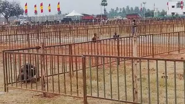 कल पेरुंदुरई में विजय का कैंपेन: पुलिस ने कड़ी पाबंदियां लगाई कल पेरुंदुरई में विजय का कैंपेन: पुलिस ने कड़ी पाबंदियां लगाई