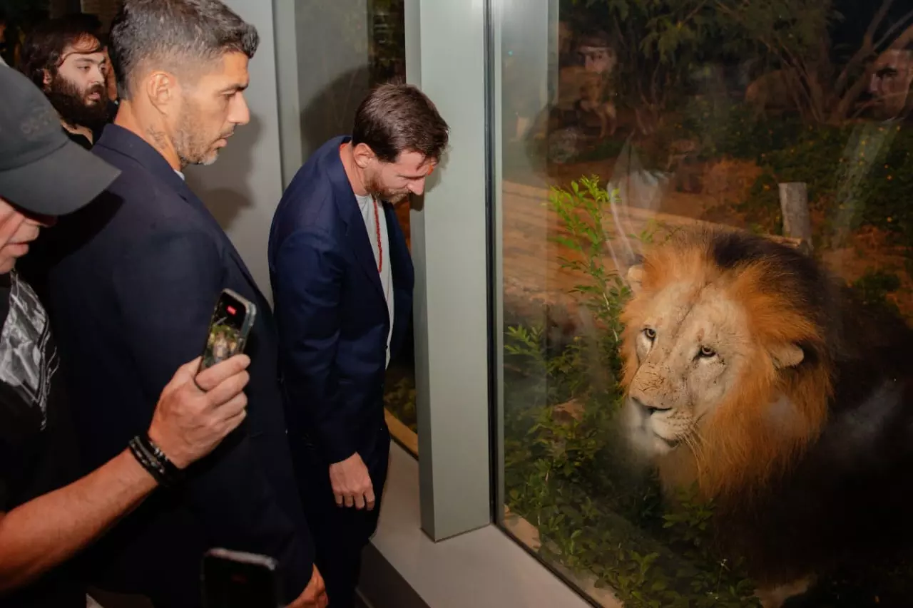 GOAT टूर के दौरान वंतारा पहुंचे लियोनेल मेस्सी, भारतीय परंपरा से हुए रूबरू GOAT टूर के दौरान वंतारा पहुंचे लियोनेल मेस्सी, भारतीय परंपरा से हुए रूबरू