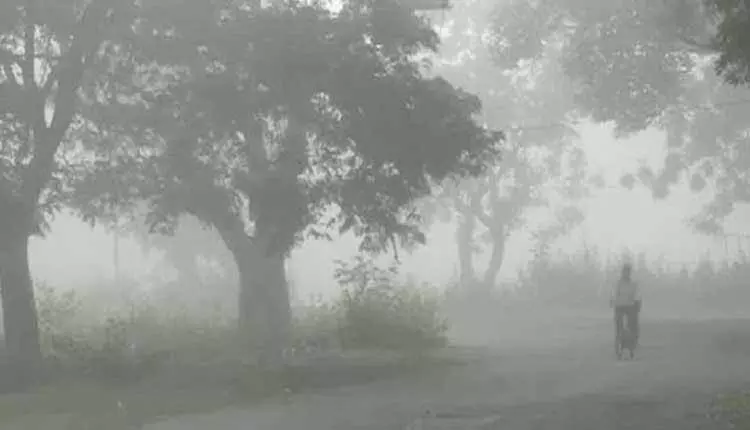 Jharsuguda में ठंड बढ़ी, चार दिन के गैप के बाद न्यूनतम तापमान 7.2°C पर पहुंचा Jharsuguda में ठंड बढ़ी, चार दिन के गैप के बाद न्यूनतम तापमान 7.2°C पर पहुंचा