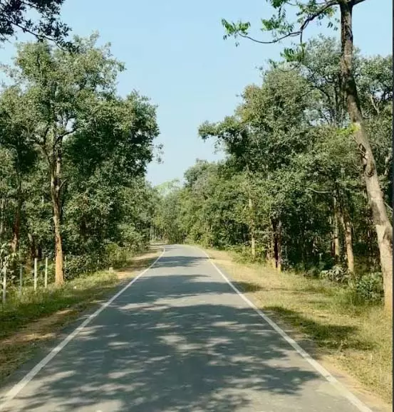 पीएम जनमन योजना से बदली ग्राम बांसकुड़ा कमार बस्ती की तस्वीर पीएम जनमन योजना से बदली ग्राम बांसकुड़ा कमार बस्ती की तस्वीर
