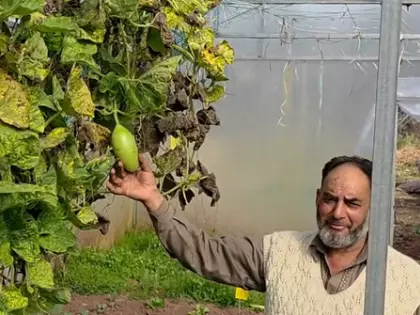 J&K: रामबन किसान ने आधुनिक खेती में बनाई मिसाल J&K: रामबन किसान ने आधुनिक खेती में बनाई मिसाल
