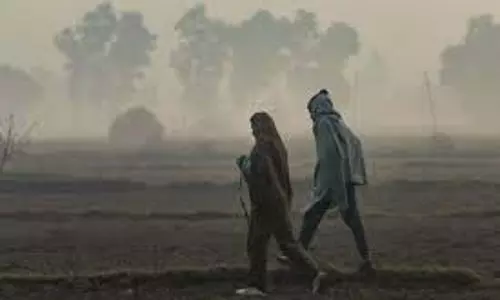 UP Weather: ठंड का महातांडव, घने कोहरे में डूबा प्रदेश