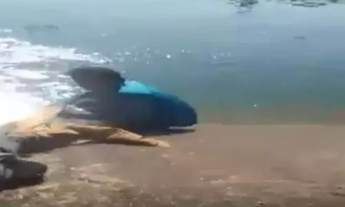 मौत को मात...नहर में डूब रही युवती को युवकों ने बचाया मौत को मात...नहर में डूब रही युवती को युवकों ने बचाया