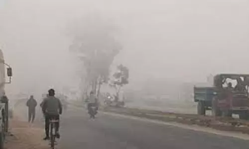 Rajasthan Weather : ठंड और कोहरे के बीच बारिश की एंट्री