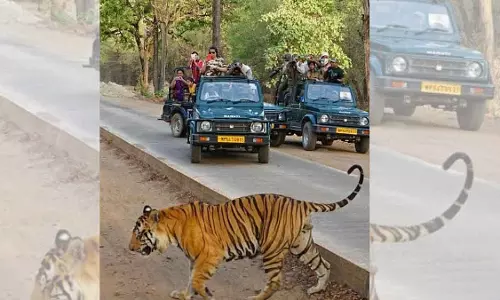 MP : क्रिसमस से नए साल तक MPSTDC के होटलों और रिसॉर्ट्स में 90% कमरे बुक हो गए