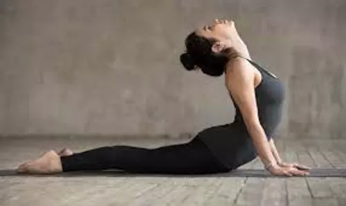 Yoga For Rib Cage: पसलियों के दर्द को न करें अनदेखा, आज ही शुरू करें ये 7 असरदार योगासन