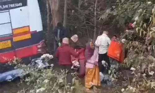 हादसे का शिकार हुई दर्शनार्थियों से भरी बस, मची चीख-पुकार